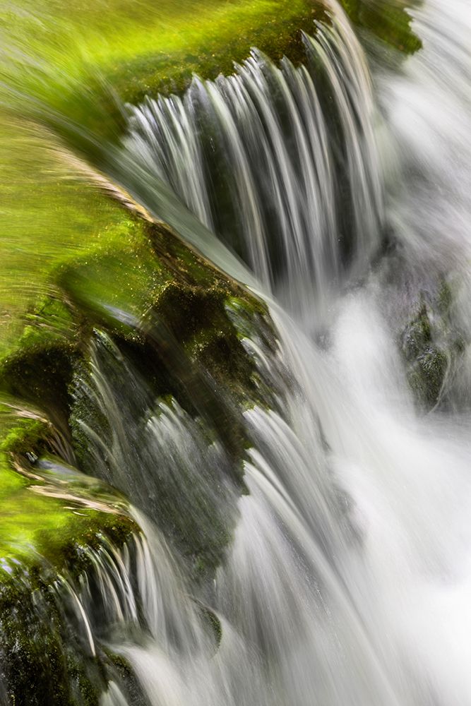 Mountain stream cascading over rocks-Great Smoky Mountains National Park-Tennessee art print by Adam Jones for $57.95 CAD