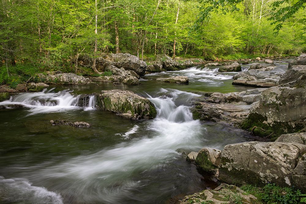 Spring view of Little Pigeon River-Greenbrier area-Great Smoky Mountains National Park-Tennessee art print by Adam Jones for $57.95 CAD