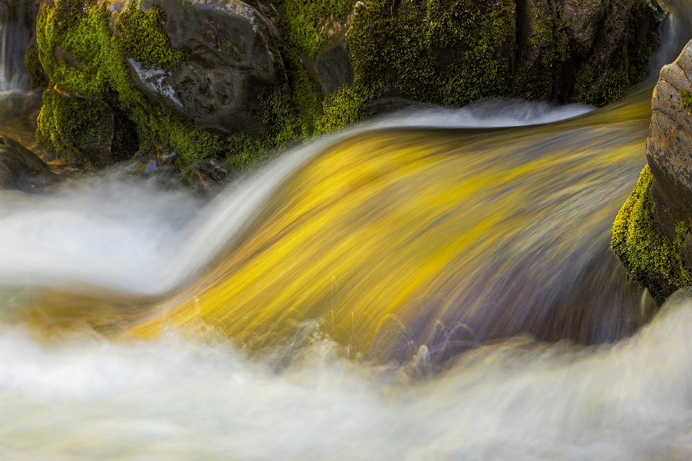 Spring foliage colors and sky reflecting on ripples on stream, Great Smoky Mountains NP, Tennessee art print by Adam Jones for $57.95 CAD