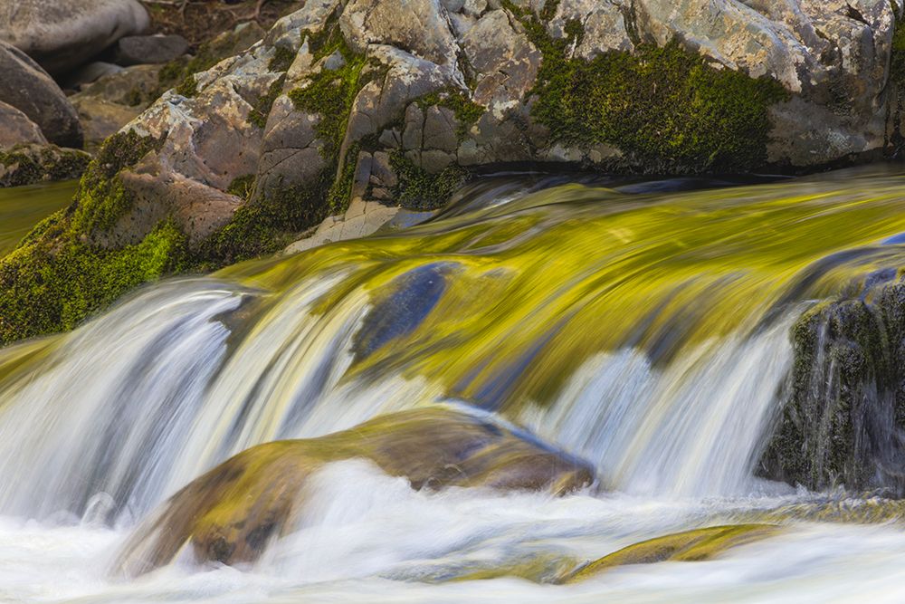 Spring foliage colors and sky reflecting on ripples on stream, Great Smoky Mountains NP, Tennessee art print by Adam Jones for $57.95 CAD