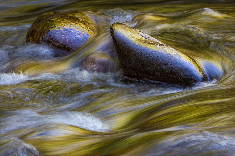 Spring foliage colors and sky reflecting on ripples on stream, Great Smoky Mountains NP, Tennessee art print by Adam Jones for $57.95 CAD