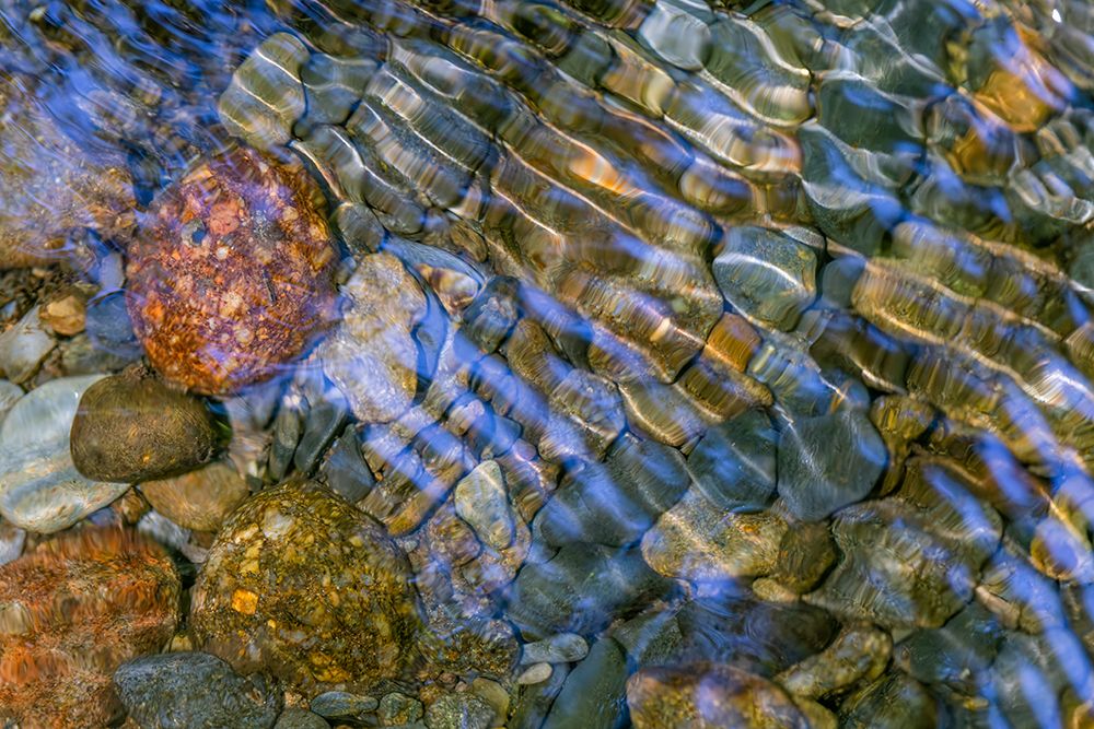 Smooth river rocks beneath surface of small stream, Great Smoky Mountains National Park, Tennessee art print by Adam Jones for $57.95 CAD