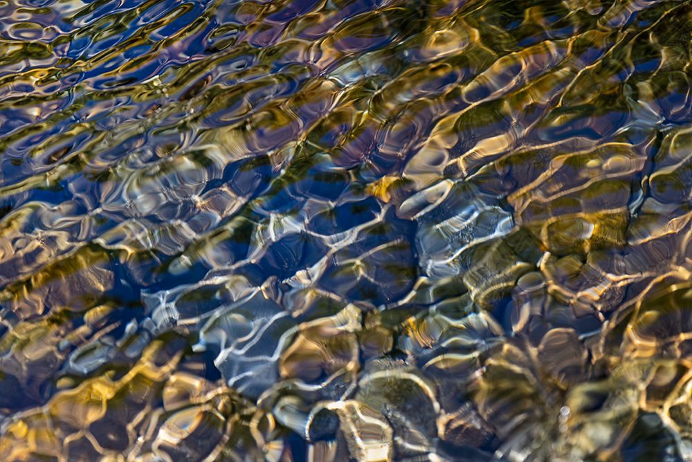 Smooth river rocks beneath surface of small stream, Great Smoky Mountains National Park, Tennessee art print by Adam Jones for $57.95 CAD