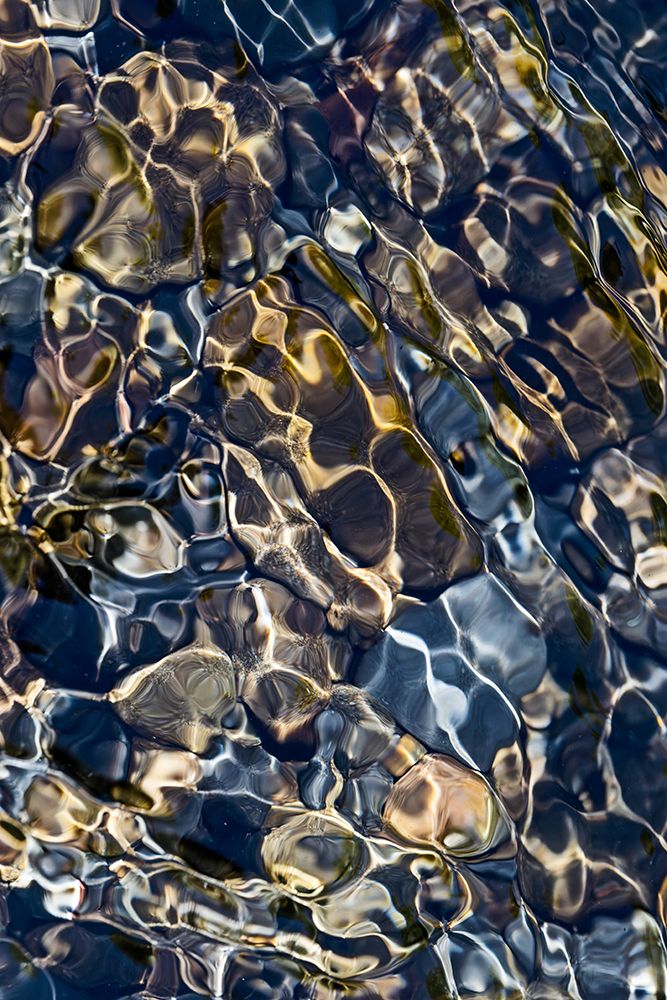 Smooth river rocks beneath surface of small stream, Great Smoky Mountains National Park, Tennessee art print by Adam Jones for $57.95 CAD