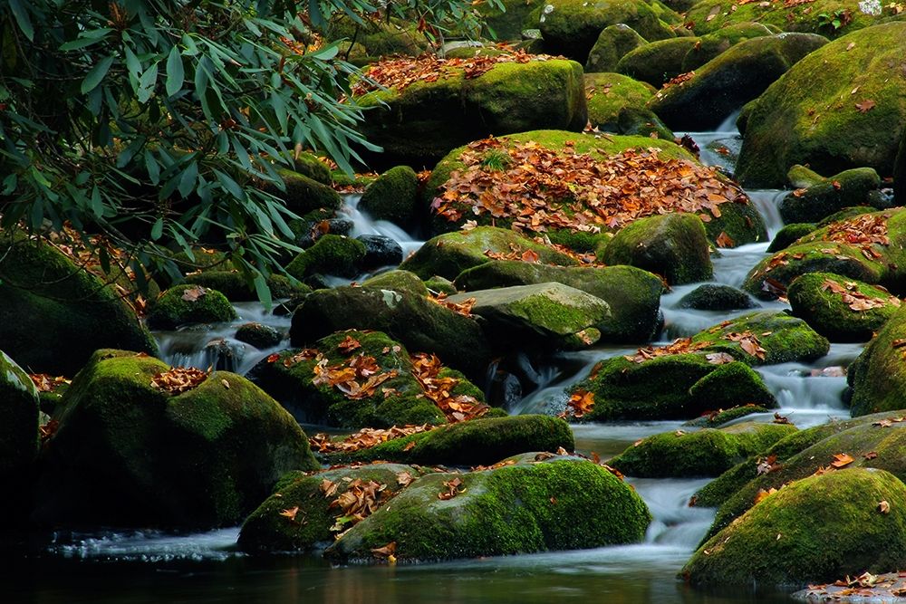 Water Falling over Boulders on Roaring Fork Motor Nature Trail art print by Anna Miller for $57.95 CAD