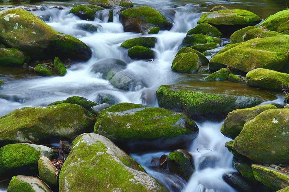 Water Falling over Boulders on Roaring Fork Motor Nature Trail art print by Anna Miller for $57.95 CAD