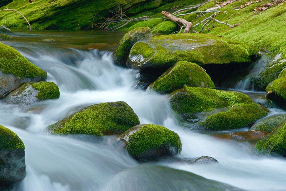 Water Falling over Boulders on Roaring Fork Motor Nature Trail art print by Anna Miller for $57.95 CAD