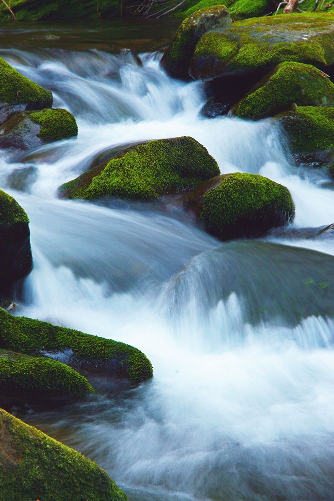 Water Falling over Boulders on Roaring Fork Motor Nature Trail art print by Anna Miller for $57.95 CAD