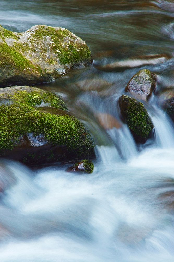Water Falling over Boulders on Roaring Fork Motor Nature Trail art print by Anna Miller for $57.95 CAD