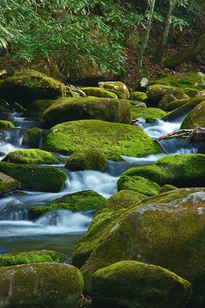 Water Falling over Boulders on Roaring Fork Motor Nature Trail art print by Anna Miller for $57.95 CAD