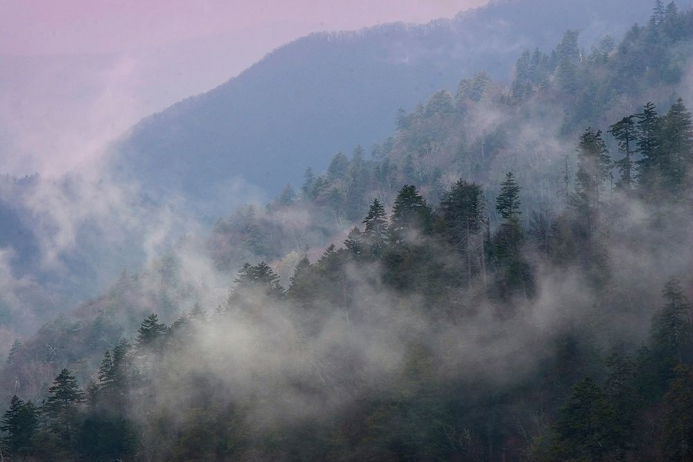 Mountain Clouds at Newfound Gap-Smoky Mountains National Park-Tennessee-USA art print by Anna Miller for $57.95 CAD