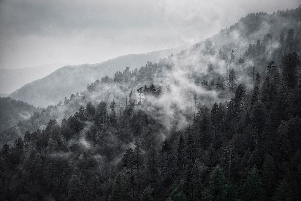 Mountain Clouds at Newfound Gap-Smoky Mountains National Park-Tennessee-USA art print by Anna Miller for $57.95 CAD