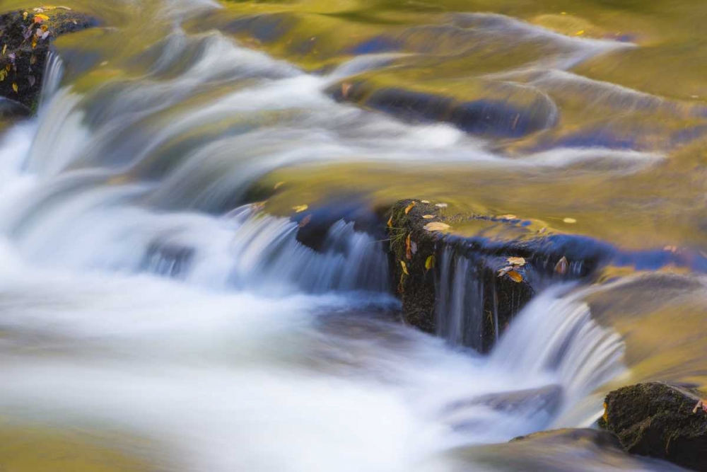 TN, Cherokee NF Reflections on North River art print by Don Paulson for $57.95 CAD