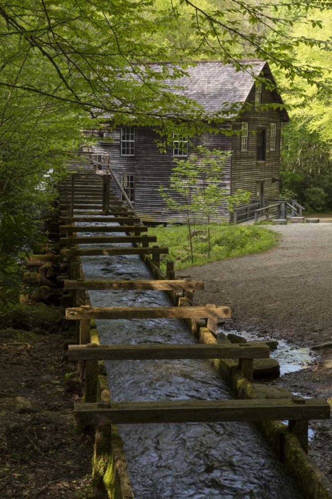 TN, Great Smoky Mts Wooden flume directs water art print by Don Grall for $57.95 CAD