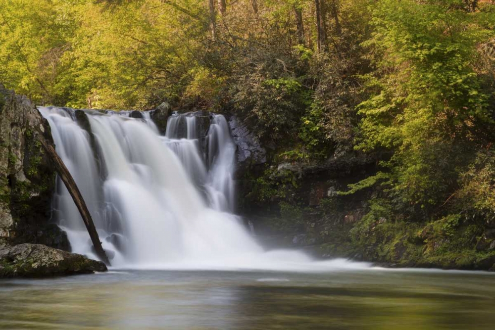 Tennessee, Great Smoky Mts Abrams Falls art print by Don Grall for $57.95 CAD