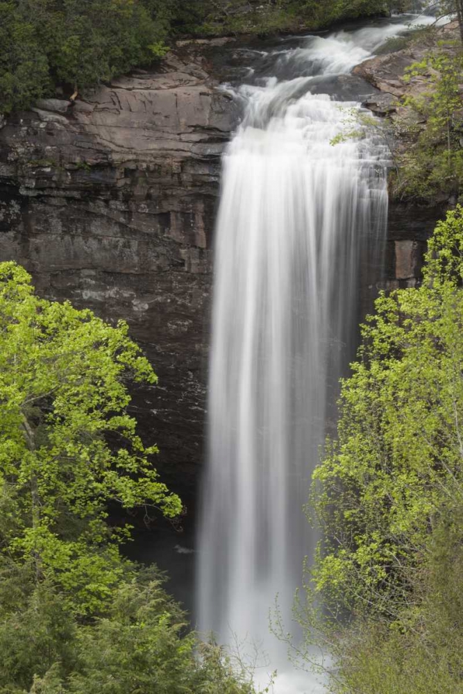 TN, Foster Falls Wild Area Waterfall scenic art print by Don Grall for $57.95 CAD