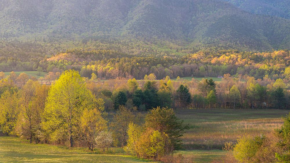 USA-Tennessee-Smokey Mountains National Park. Sunrise on valley. art print by Jaynes Gallery for $57.95 CAD