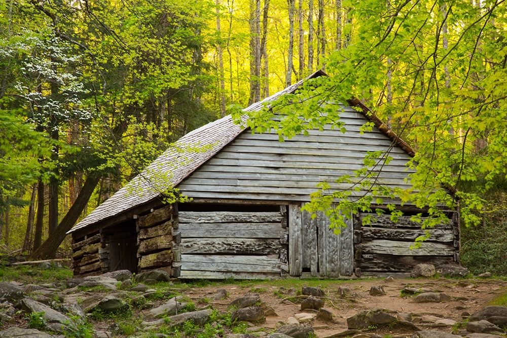 Tennessee Old barn at Bud Ogle cabin along Roaring Fork Nature Trail art print by Joanne Wells for $57.95 CAD