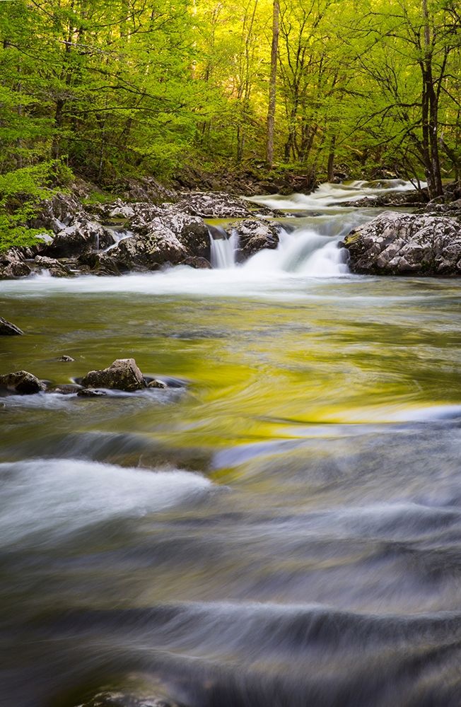 Tennessee Sparks Lane in the spring at Cades Cove art print by Joanne Wells for $57.95 CAD