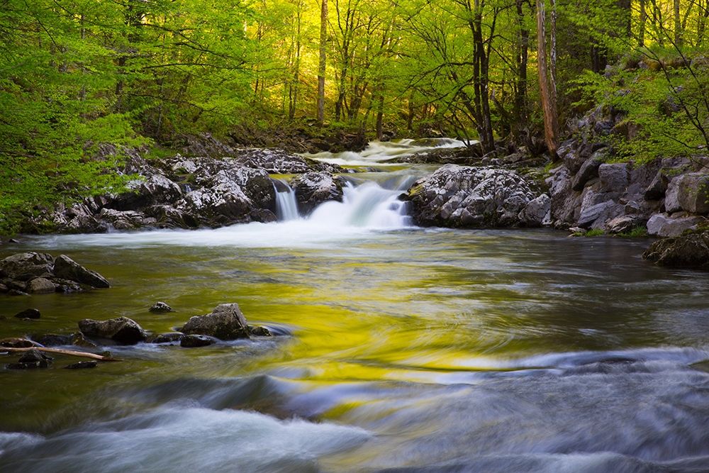 Tennessee-Evening reflections in the Little River at Tremont art print by Joanne Wells for $57.95 CAD