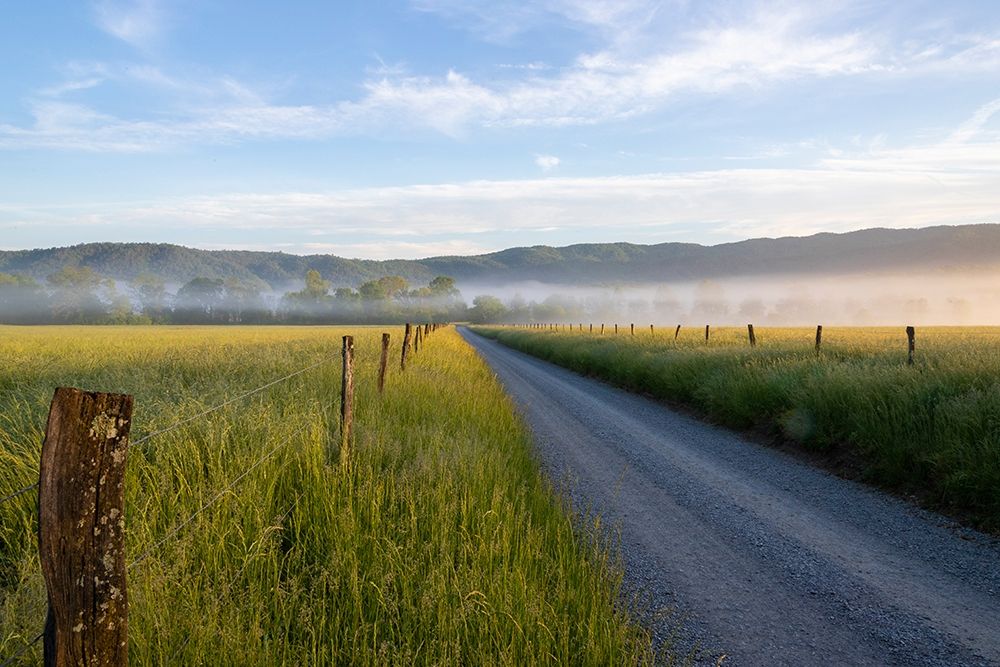 Hyatt Lane in fog Cades Cove Great Smoky Mountains National Park-Tennessee art print by Richard and Susan Day for $57.95 CAD