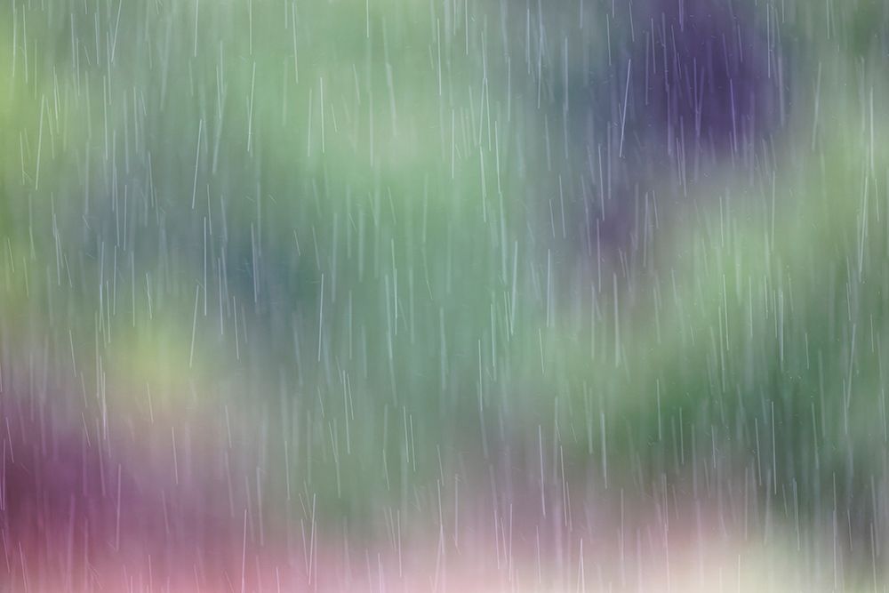 Rain falling-Rio Grande Valley-Texas art print by Adam Jones for $57.95 CAD