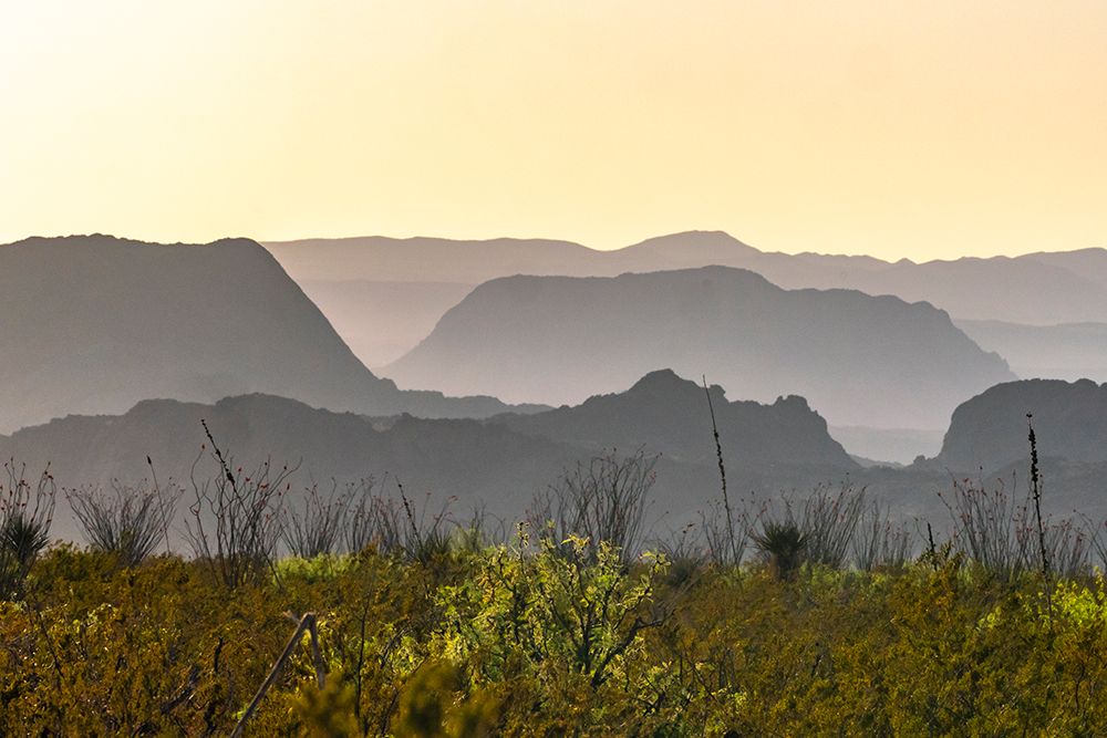 USA, Texas, Big Bend National Park. Chisos Mountains landscape. art print by Jaynes Gallery for $57.95 CAD