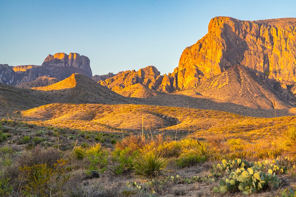 USA, Texas, Big Bend National Park. Chisos Mountains at sunrise. art print by Jaynes Gallery for $57.95 CAD