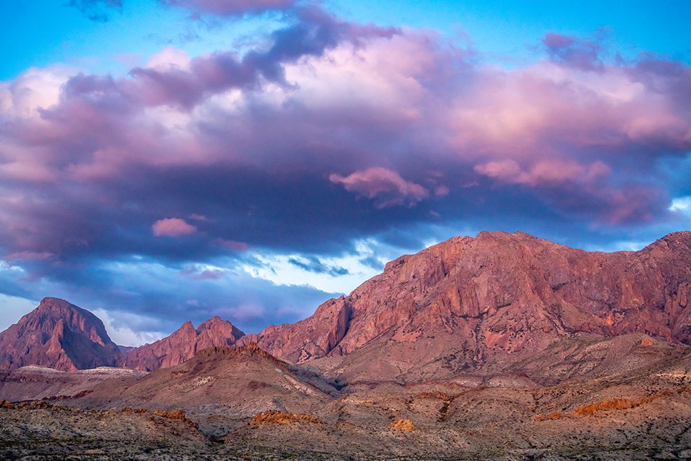 USA, Texas, Big Bend National Park. Chisos Mountains at sunset. art print by Jaynes Gallery for $57.95 CAD