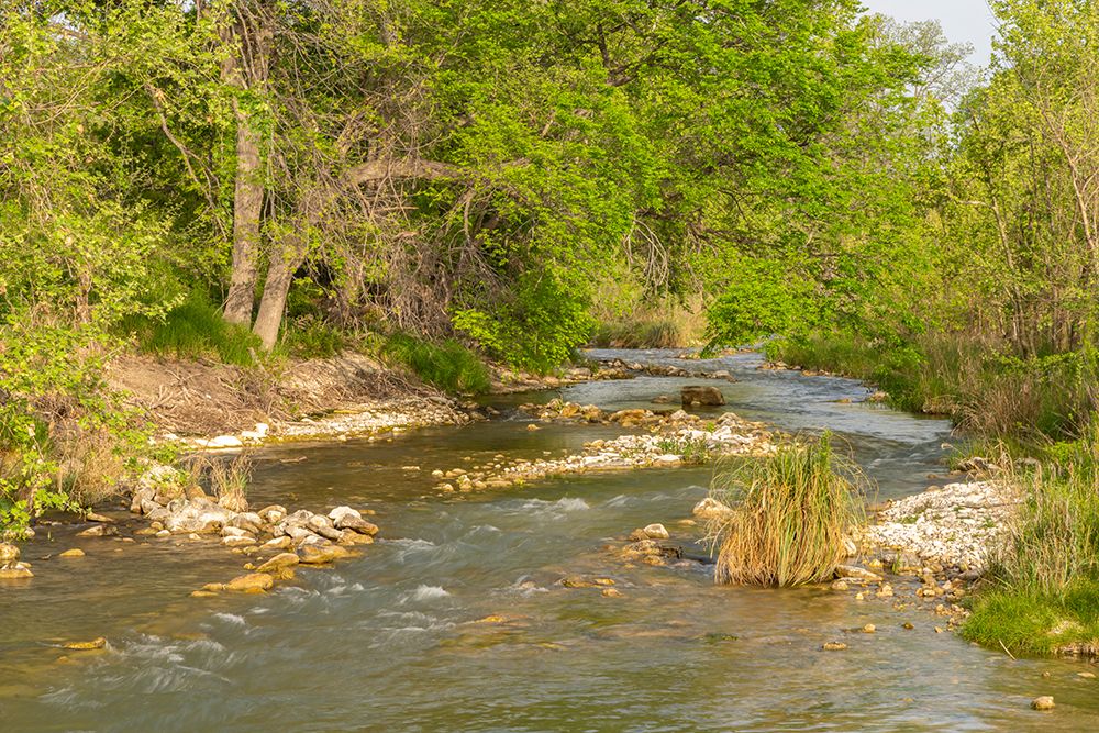 USA, Texas, Hill Country. Bailey Creek scenic. art print by Jaynes Gallery for $57.95 CAD