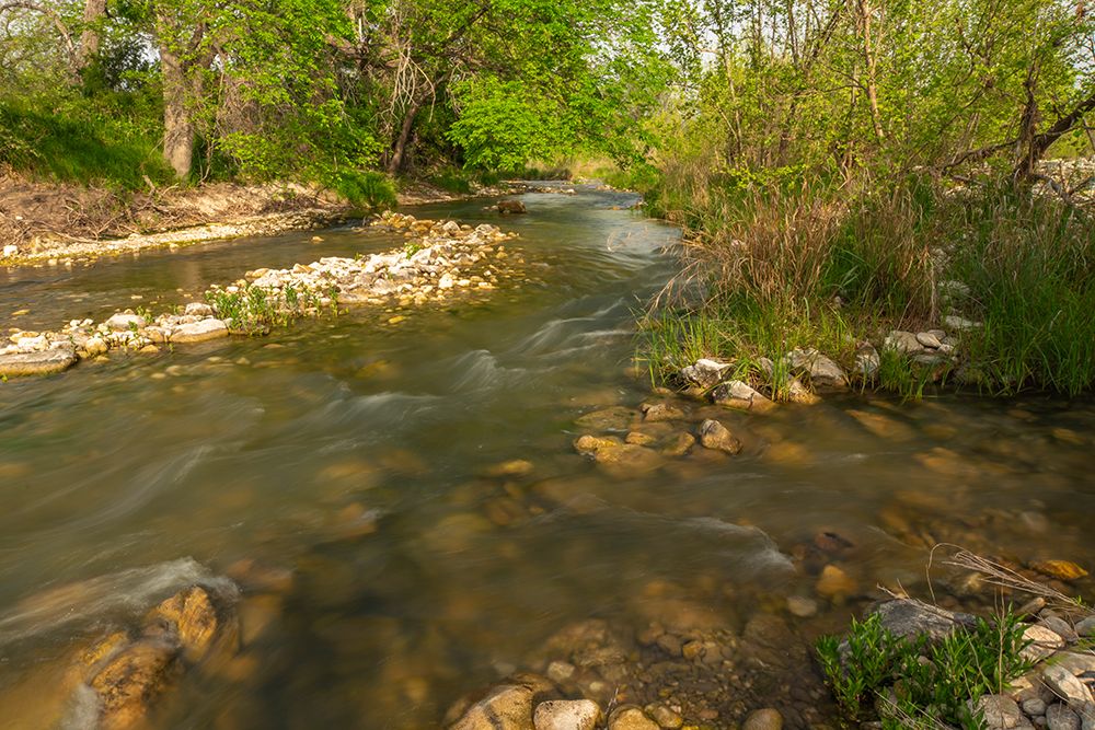 USA, Texas, Hill Country. Bailey Creek scenic. art print by Jaynes Gallery for $57.95 CAD