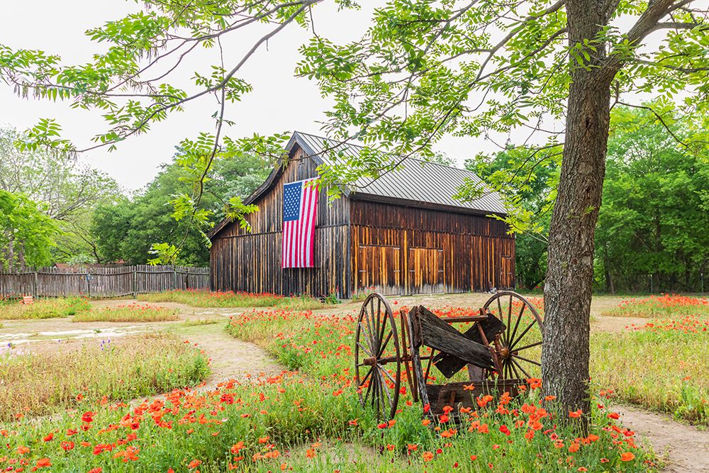 Castroville-Texas-USA-Large American flag on a barn in the Texas Hill Country art print by Emily Wilson for $57.95 CAD