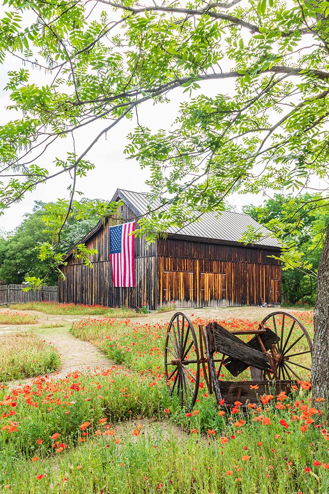 Castroville-Texas-USA-Large American flag on a barn in the Texas Hill Country art print by Emily Wilson for $57.95 CAD