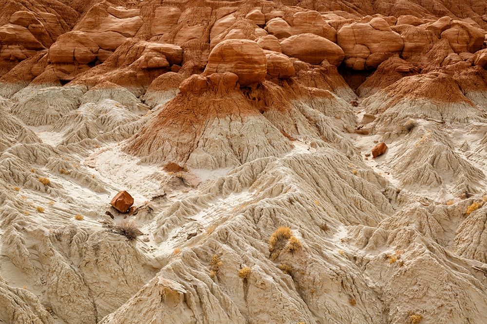 Utah-Grand Staircase-Escalante National Monument-Toadstools area art print by Ann Collins for $57.95 CAD