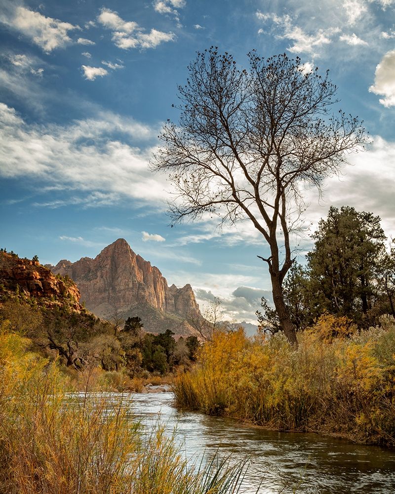 Utah-Zion National Park-Virgin River and The Watchman near sunset art print by Ann Collins for $57.95 CAD