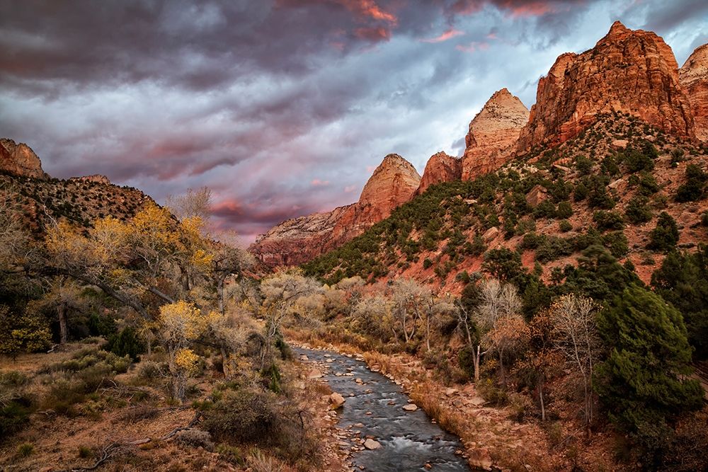 Utah-Zion National Park-A fiery sunset lights up Zions Virgin River and cottonwood trees art print by Ann Collins for $57.95 CAD