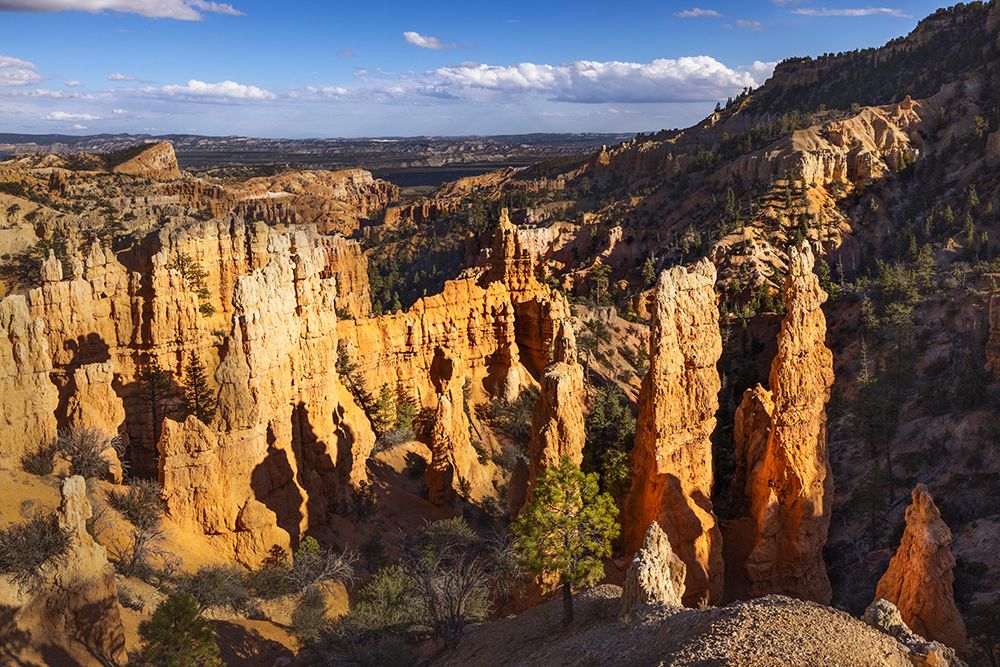 Hoodoos Bryce Canyon National Park, Utah art print by Adam Jones for $57.95 CAD