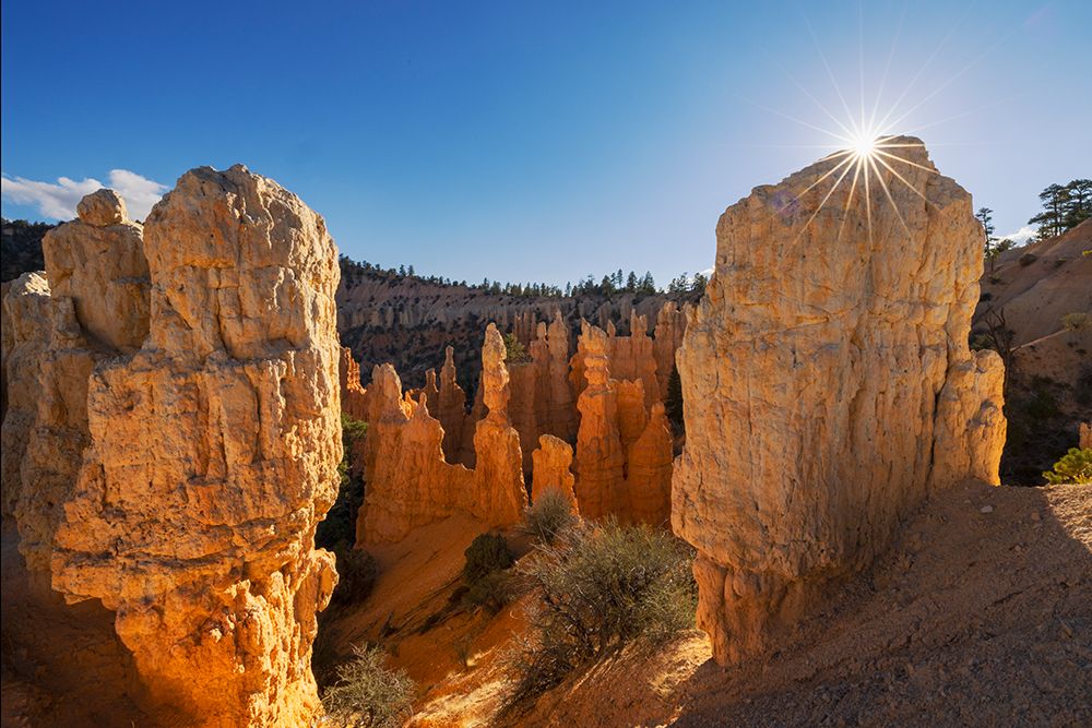 Sunburst over Hoodoos Bryce Canyon National Park, Utah art print by Adam Jones for $57.95 CAD