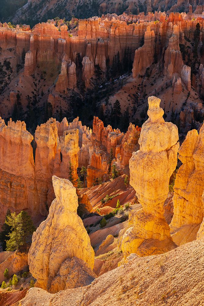 Sunrise at Bryce Canyon National Park, Utah art print by Adam Jones for $57.95 CAD