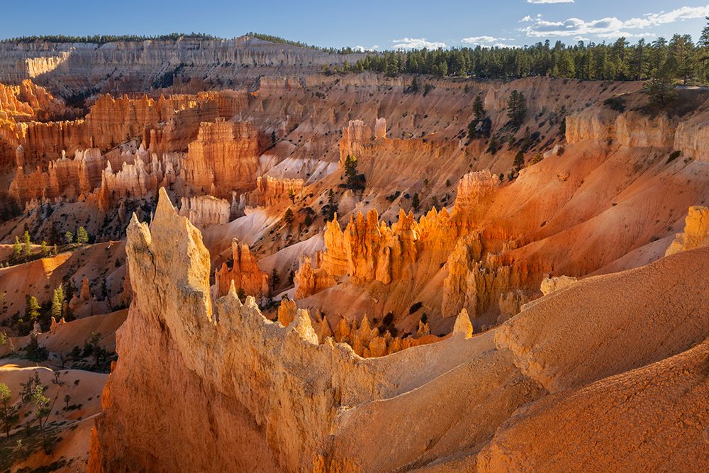 Sunrise at Bryce Canyon National Park, Utah art print by Adam Jones for $57.95 CAD
