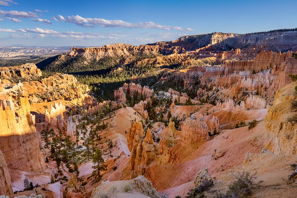 Sunrise at Bryce Canyon National Park, Utah art print by Adam Jones for $57.95 CAD