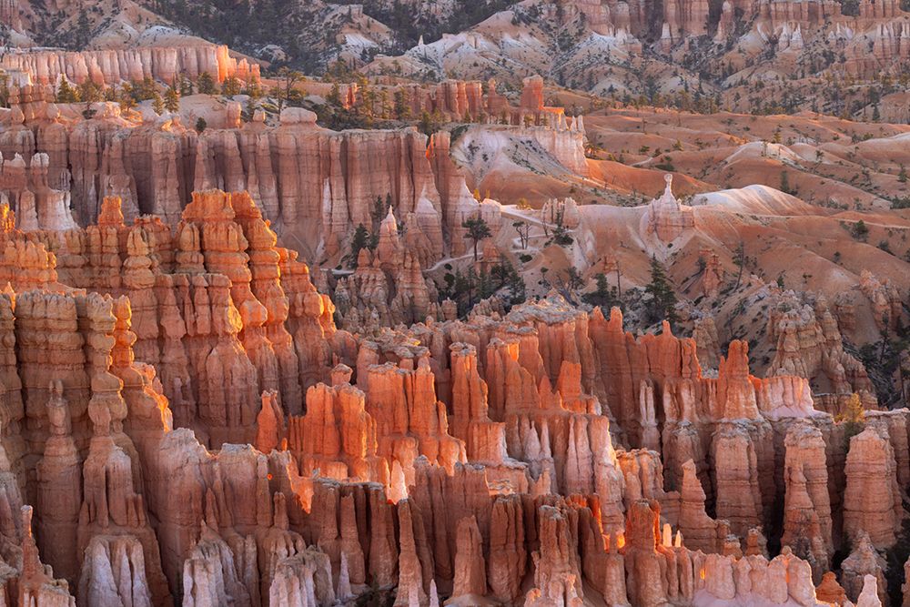 Sunrise at Bryce Canyon National Park, Utah art print by Adam Jones for $57.95 CAD