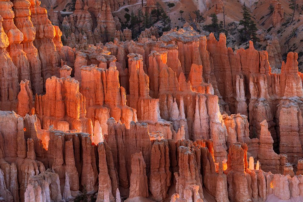 Sunrise at Bryce Canyon National Park, Utah art print by Adam Jones for $57.95 CAD