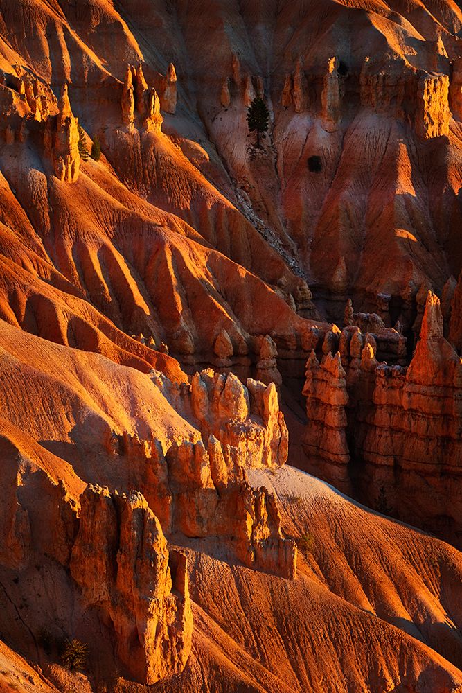 Sunrise at Bryce Canyon National Park, Utah art print by Adam Jones for $57.95 CAD