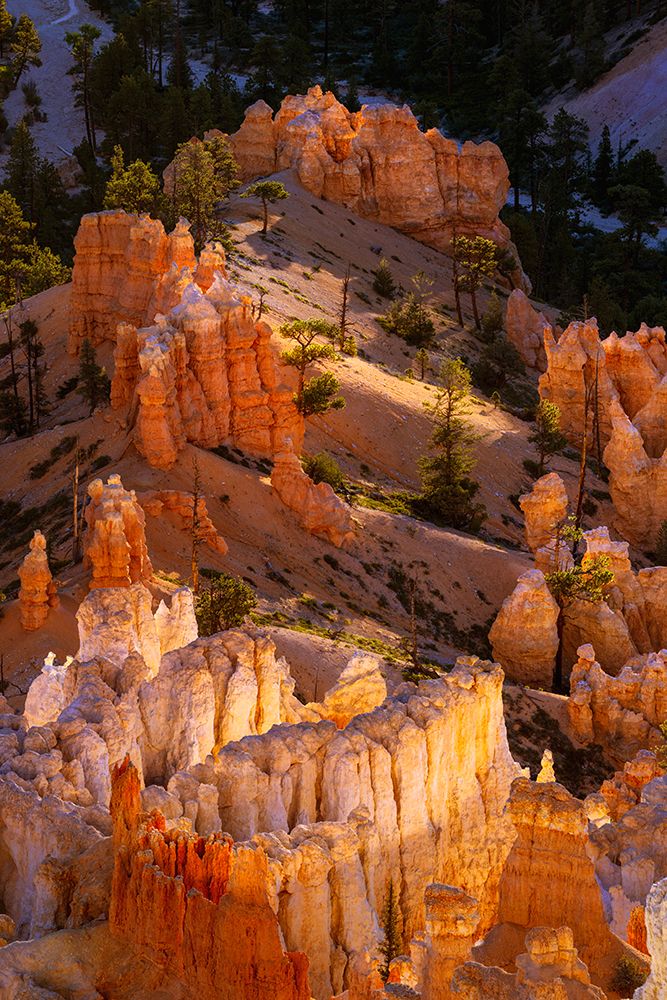 Sunrise at Bryce Canyon National Park, Utah art print by Adam Jones for $57.95 CAD