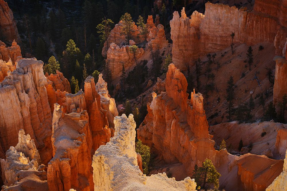 Sunrise at Bryce Canyon National Park, Utah art print by Adam Jones for $57.95 CAD