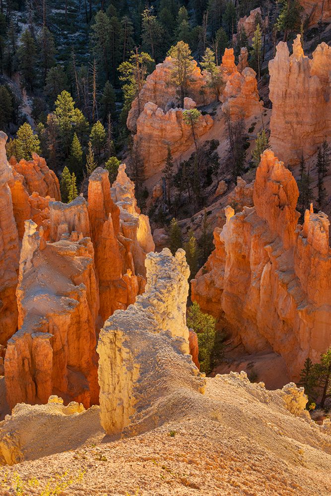 Sunrise at Bryce Canyon National Park, Utah art print by Adam Jones for $57.95 CAD