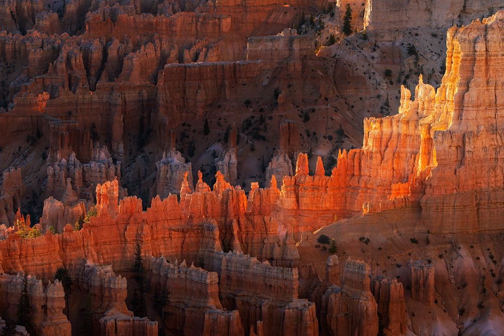 Sunrise at Bryce Canyon National Park, Utah art print by Adam Jones for $57.95 CAD