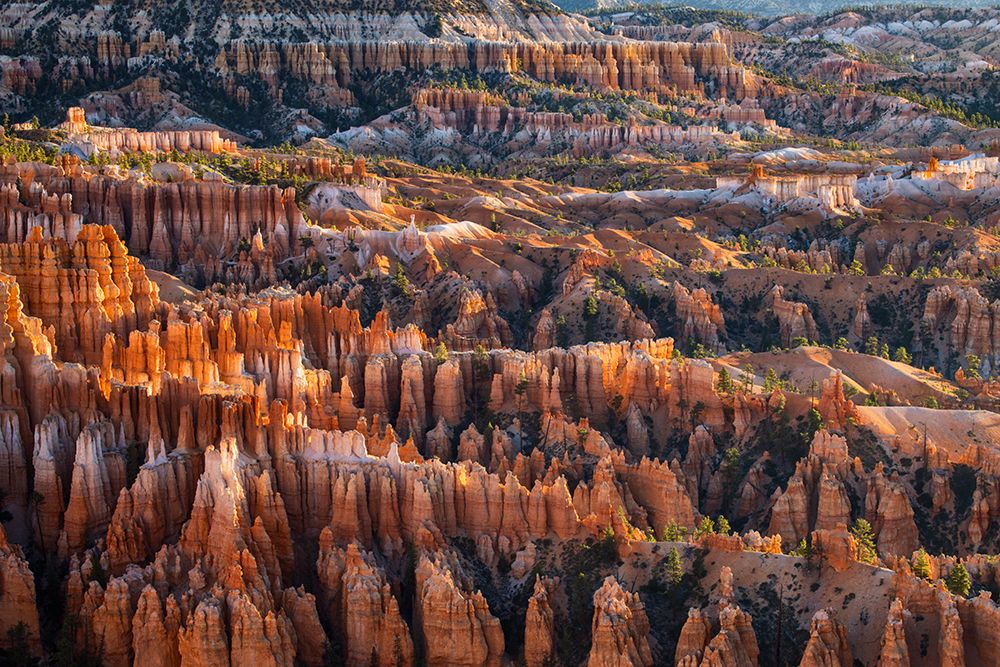 Sunrise at Bryce Canyon National Park, Utah art print by Adam Jones for $57.95 CAD