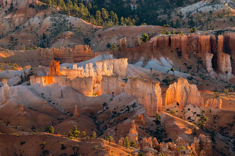Sunrise at Bryce Canyon National Park, Utah art print by Adam Jones for $57.95 CAD